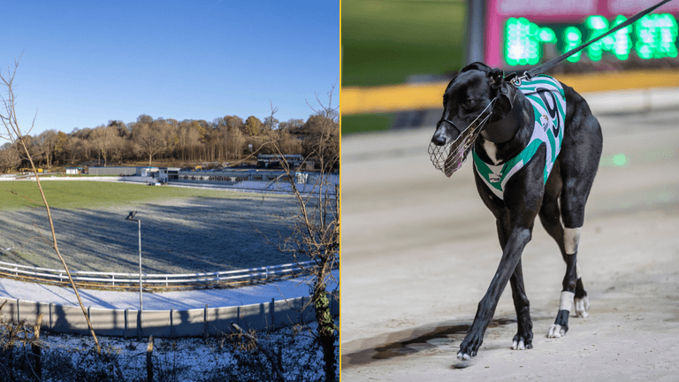 Greyhound racing to be banned in Wales Greyhound racing to be banned in Wales