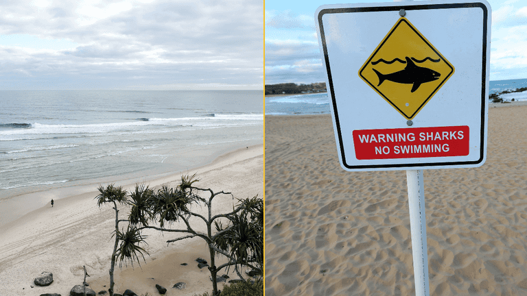 Teenager killed in shark attack while swimming off popular tourist beach Teenager killed in shark attack while swimming off popular tourist beach