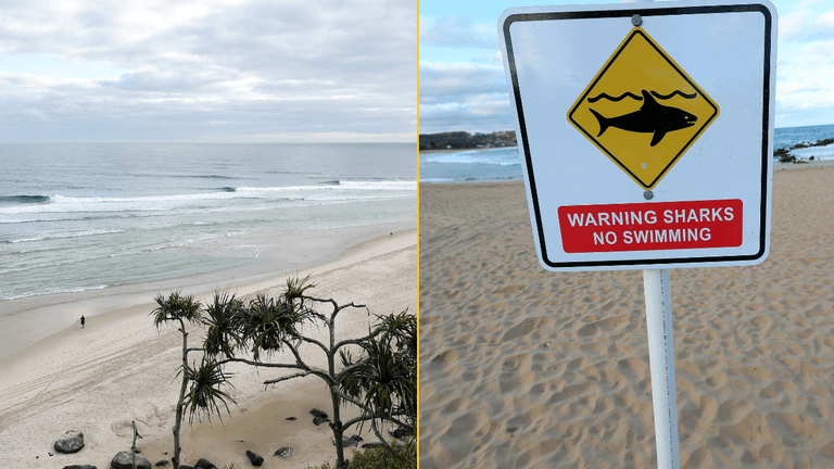 Teenager killed in shark attack while swimming off popular tourist beach Teenager killed in shark attack while swimming off popular tourist beach
