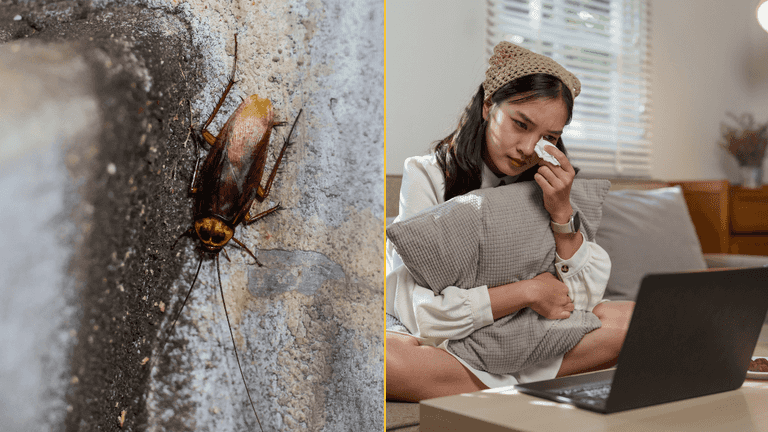 Zoo lets you name a cockroach after your ex for Valentine’s Day Zoo lets you name a cockroach after your ex for Valentine’s Day