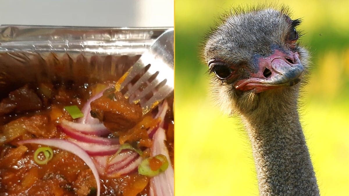 Takeaway fined £1500 after serving wrong animal in ostrich curry