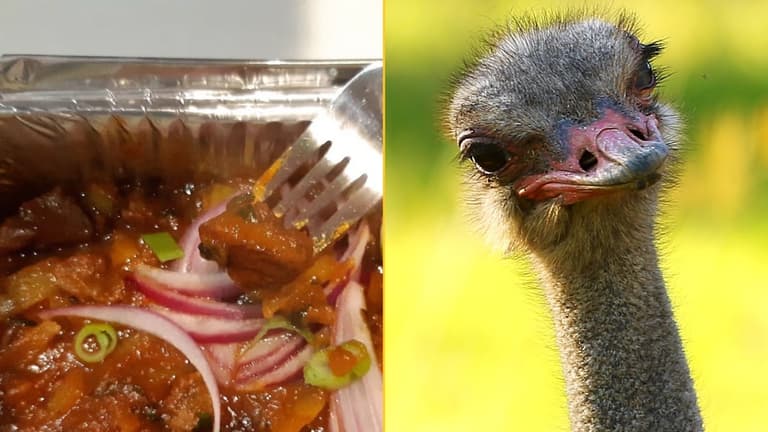 Takeaway fined £1500 after serving wrong animal in ostrich curry Takeaway fined £1500 after serving wrong animal in ostrich curry