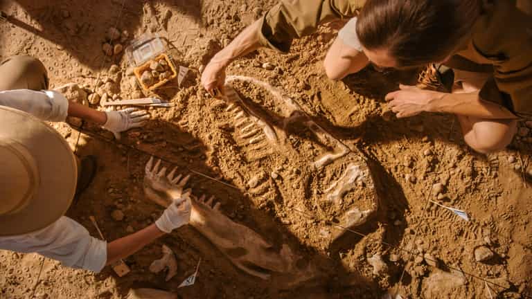 Scientists discover new dinosaur with ‘foot-long claws’ Scientists discover new dinosaur with ‘foot-long claws’
