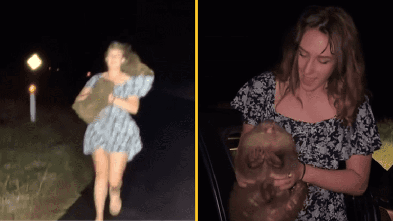 American influencer could have visa revoked after snatching baby wombat from mother American influencer could have visa revoked after snatching baby wombat from mother