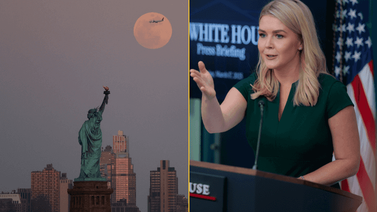 Trump secretary claims France would be speaking German if it wasn’t for America Trump secretary claims France would be speaking German if it wasn’t for America
