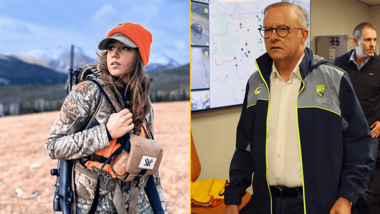 Influencer who snatched wombat from mother says she was just trying to move it from road Influencer who snatched wombat from mother says she was just trying to move it from road