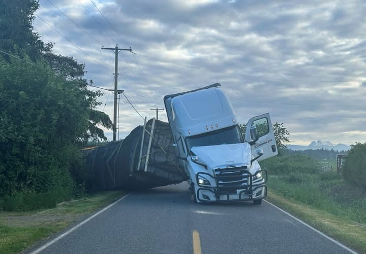 250 million honeybees escape into nature after lorry overturns on road 250 million honeybees escape into nature after lorry overturns on road