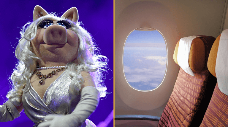 Woman arrested for attacking child who called her ‘Miss Piggy’ on flight Woman arrested for attacking child who called her ‘Miss Piggy’ on flight