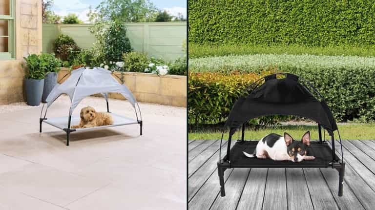 Aldi bringing back popular pet range to keep your dogs cool this summer Aldi bringing back popular pet range to keep your dogs cool this summer