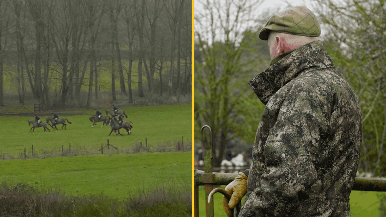 Inside the violent world of fox hunting in the UK Inside the violent world of fox hunting in the UK