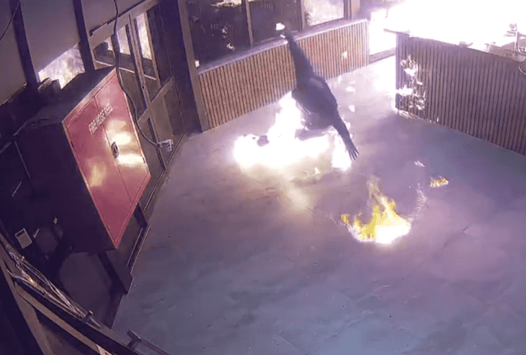Moment man lights himself on fire in botched arson attack Moment man lights himself on fire in botched arson attack