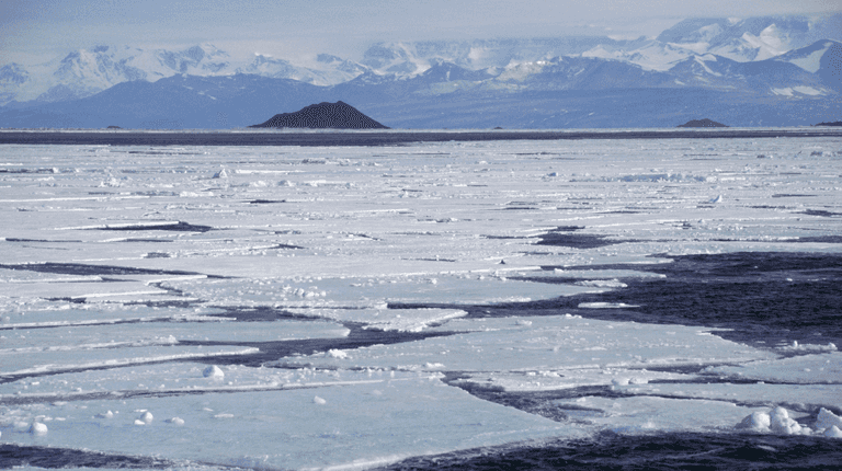 Stark warning issued over Antarctic Ice Sheet that is ‘on verge of collapsing’ Stark warning issued over Antarctic Ice Sheet that is ‘on verge of collapsing’