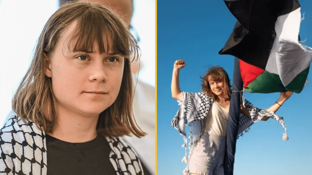 Israel issues update on Greta Thunberg after she is ‘kidnapped by Israeli forces’