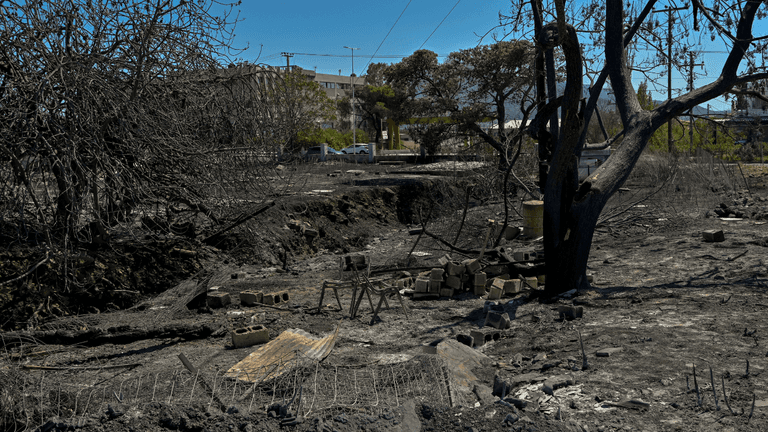 Tourists put on high alert as wildfires cause evacuations in major European capital Tourists put on high alert as wildfires cause evacuations in major European capital