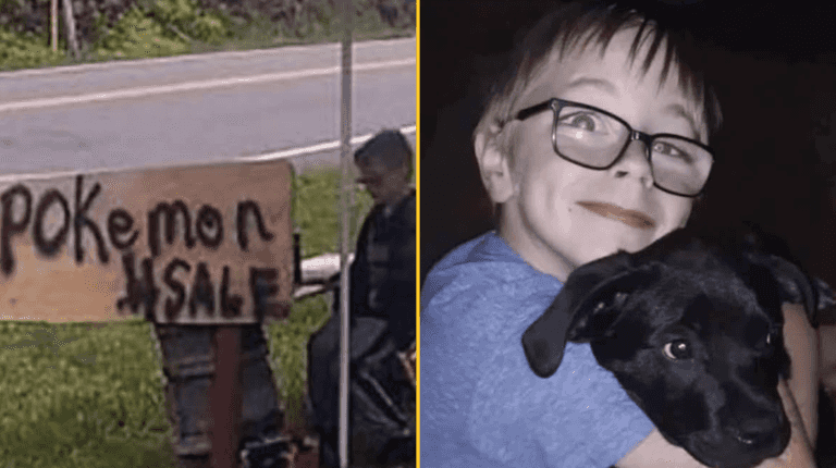 Boy, 8, sells his Pokemon collection to save his dog’s life Boy, 8, sells his Pokemon collection to save his dog’s life