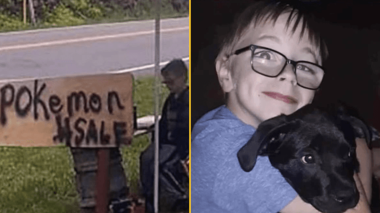 Boy, 8, sells his Pokemon collection to save his dog’s life Boy, 8, sells his Pokemon collection to save his dog’s life