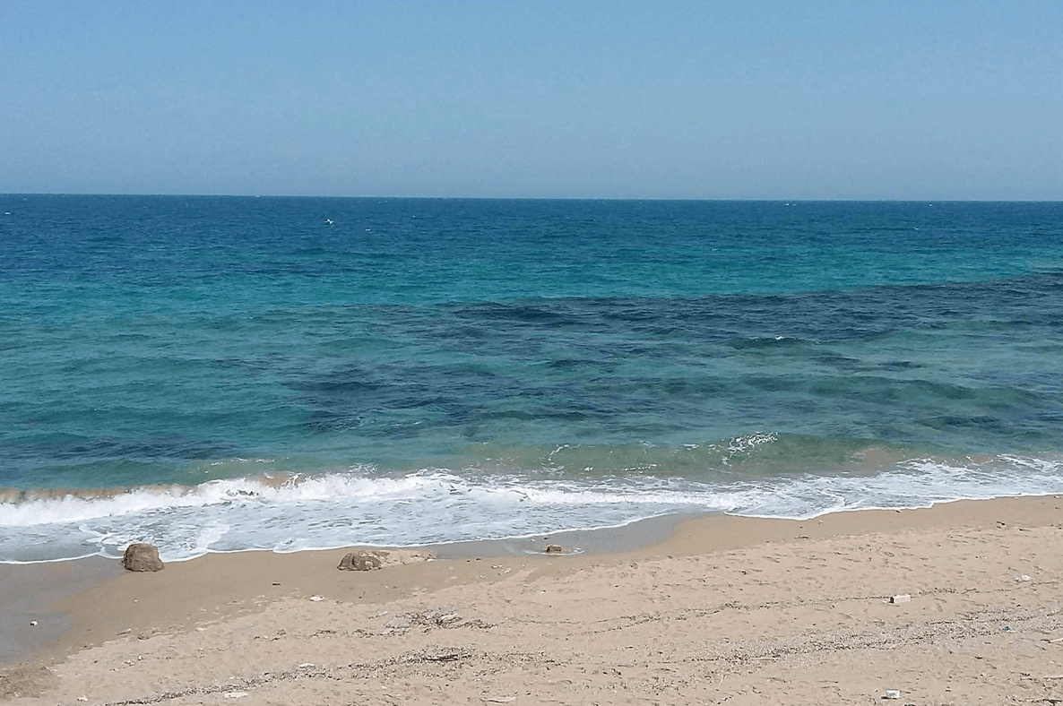 Six students drown and 21 rushed to hospital after swimming on school trip