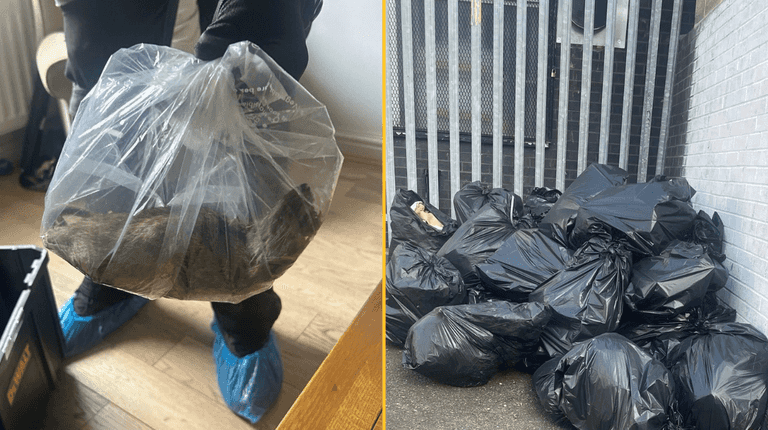 Monster 22-inch rat ‘bigger than a cat’ discovered in UK home Monster 22-inch rat ‘bigger than a cat’ discovered in UK home