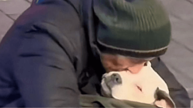 Homeless man rocks his dog to sleep every night saying his dog struggles to adjust to homelessness Homeless man rocks his dog to sleep every night saying his dog struggles to adjust to homelessness