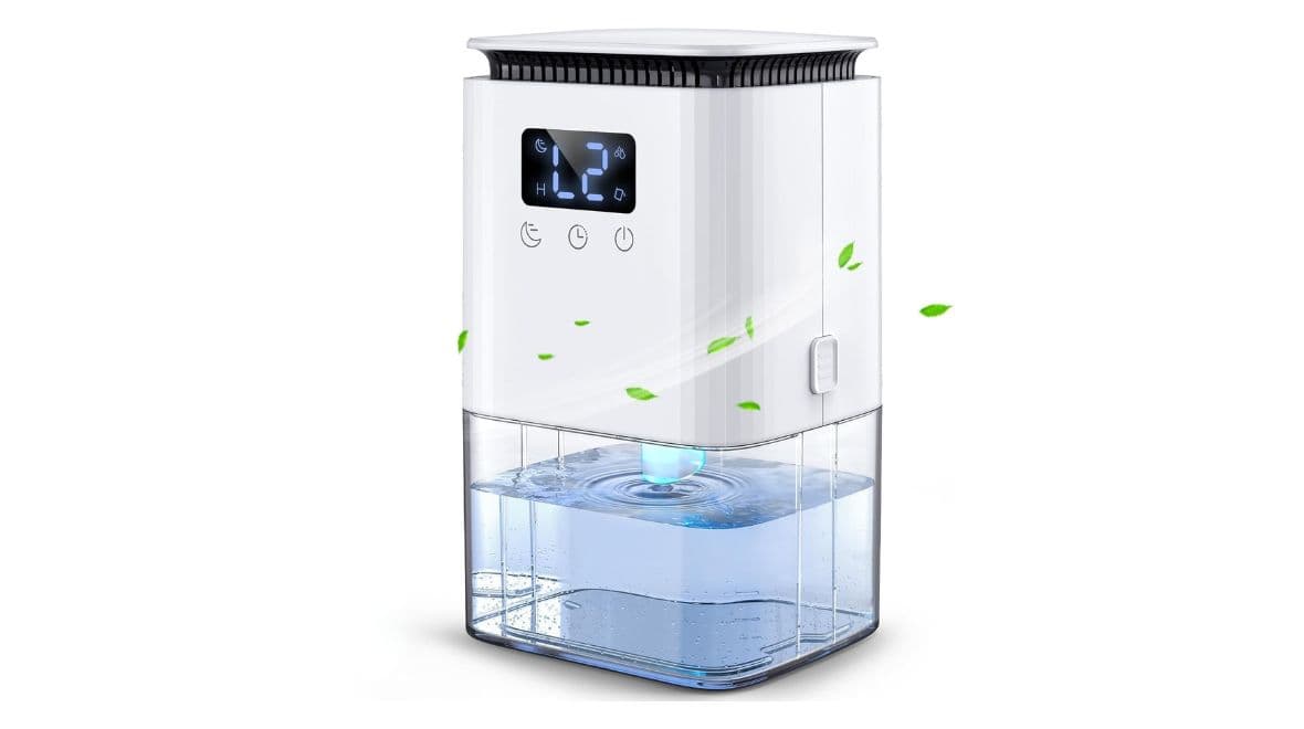 Dehumidifier that helps ‘tackle damp’ and save on energy bills gets huge discount