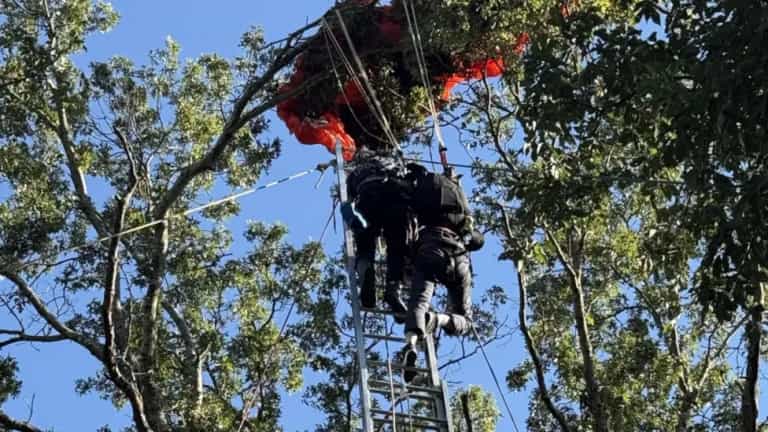 Skydiver jumps to his death without parachute in horror accident Skydiver jumps to his death without parachute in horror accident
