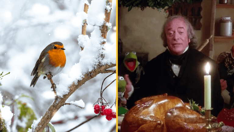 Humbug to the scrooges – I wish it could be Christmas everyday Humbug to the scrooges – I wish it could be Christmas everyday
