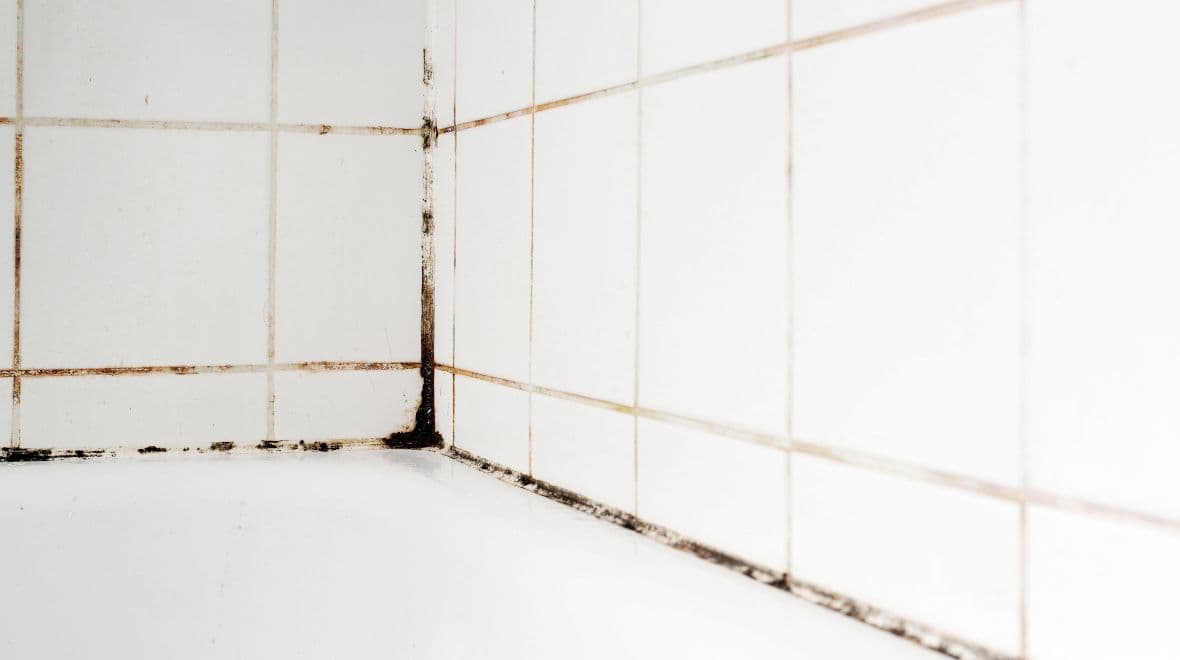 ‘Easy to use’ gadget clears stubborn mould from bathrooms – and it’s less than £10