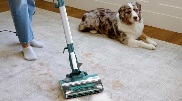 ‘Fantastic’ Shark vacuum cleaner slashed by 42% in Amazon’s Black Friday sale ‘Fantastic’ Shark vacuum cleaner slashed by 42% in Amazon’s Black Friday sale