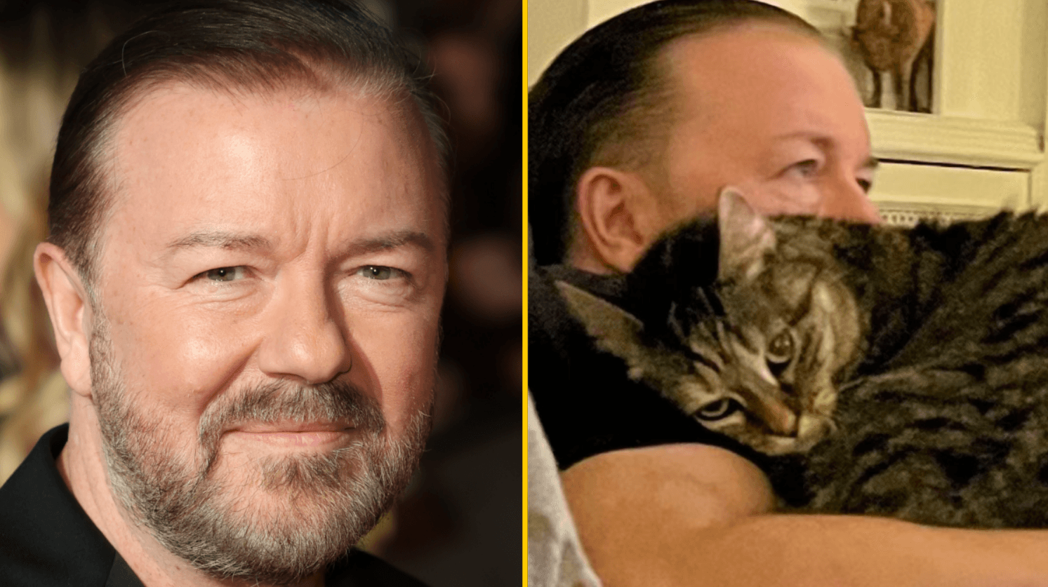 Ricky Gervais donates £2.5m of tour proceeds to animal charities