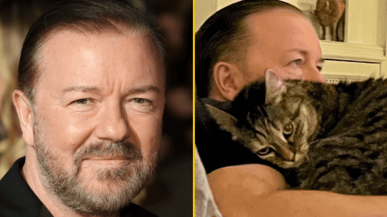 Ricky Gervais donates £2.5m of tour proceeds to animal charities Ricky Gervais donates £2.5m of tour proceeds to animal charities