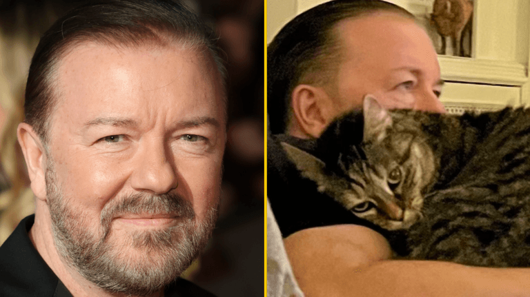 Ricky Gervais donates £2.5m of tour proceeds to animal charities Ricky Gervais donates £2.5m of tour proceeds to animal charities