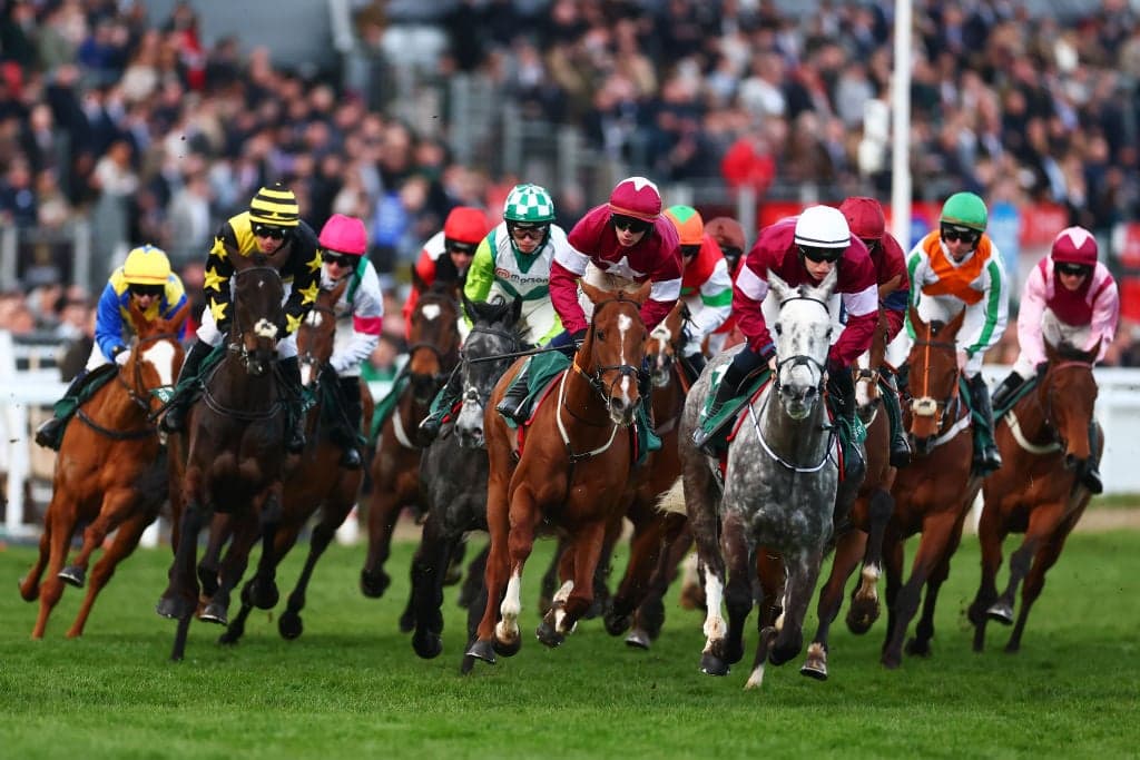 Free Bets Cheltenham UK 2026