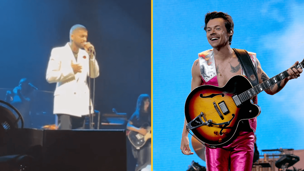 Zayn Malik hits out at Harry Styles with subtle dig during gig