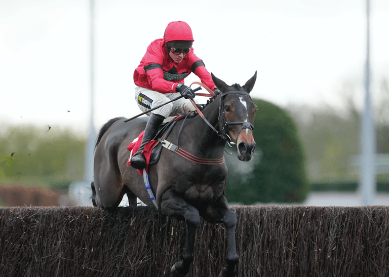 Paddock Picks – Our big tips for this weekend’s racing Paddock Picks – Our big tips for this weekend’s racing