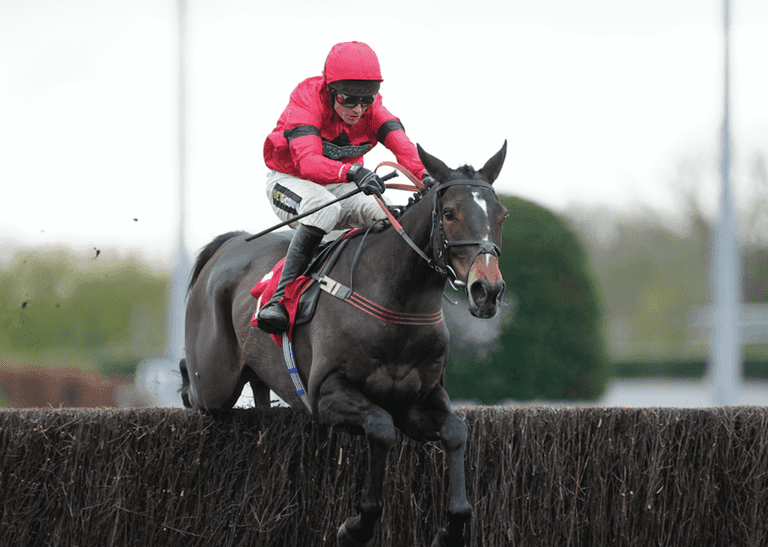 Paddock Picks – Our big tips for this weekend’s racing Paddock Picks – Our big tips for this weekend’s racing