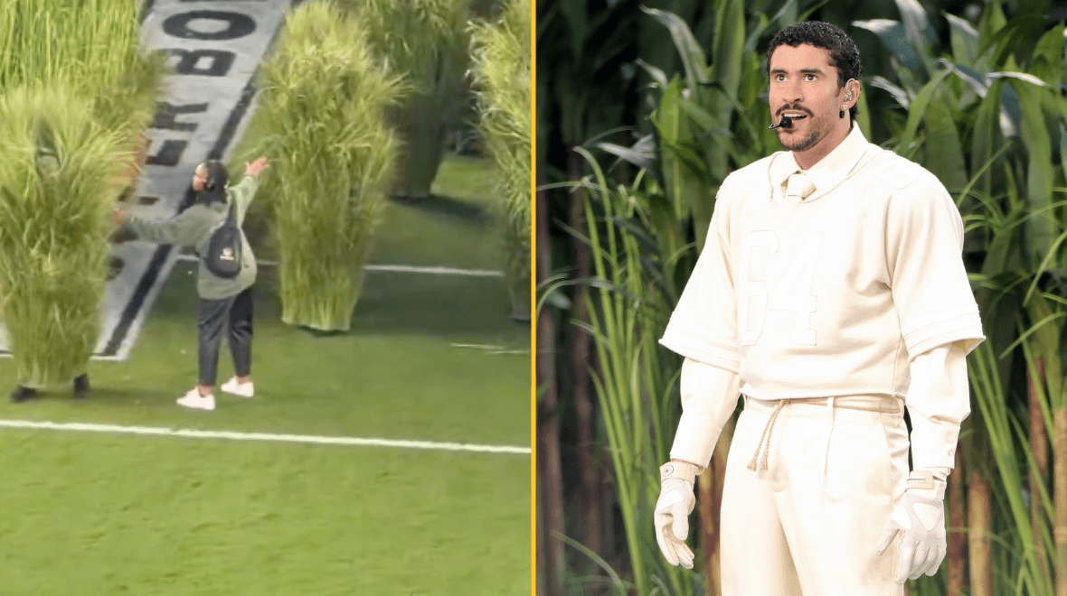 Shocking amount performers who dressed up as trees were paid for Super Bowl show