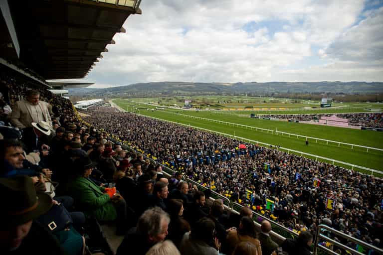 How to Enjoy the Cheltenham Festival 2026 How to Enjoy the Cheltenham Festival 2026