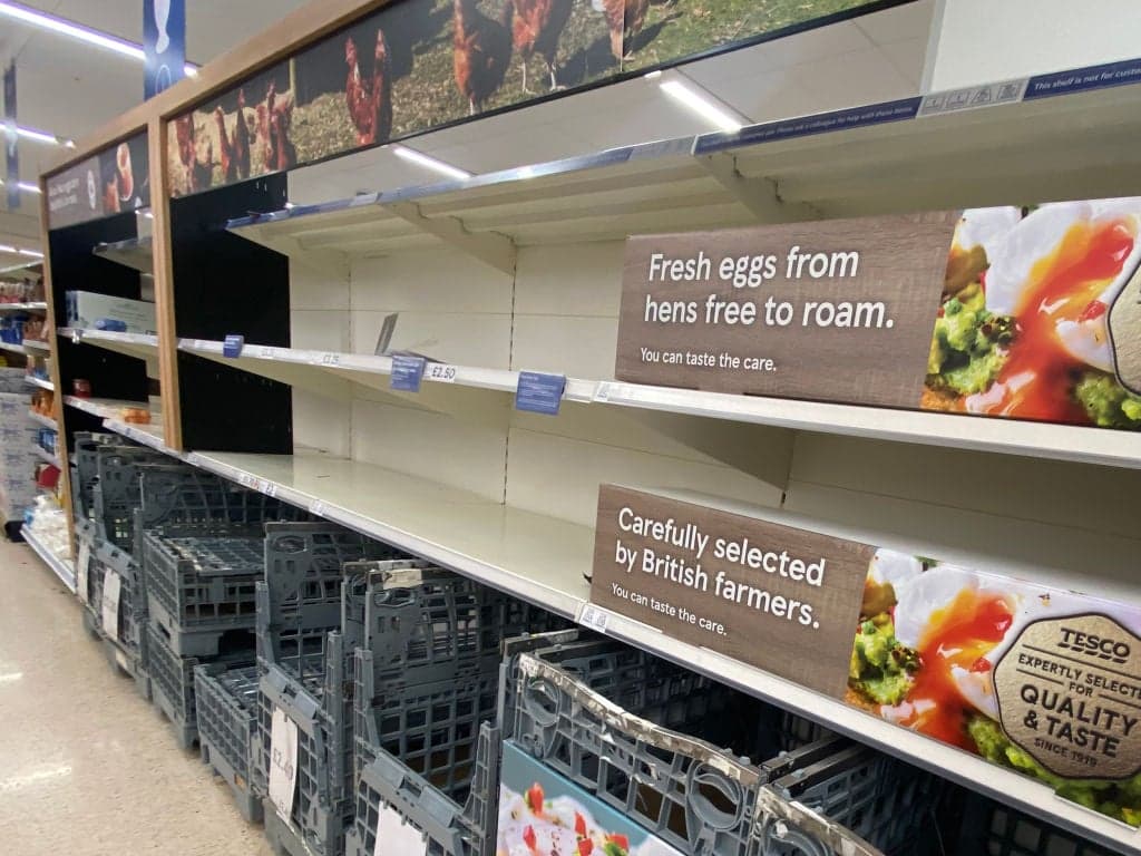 UK preparing for food shortages in weeks as secret government plans revealed