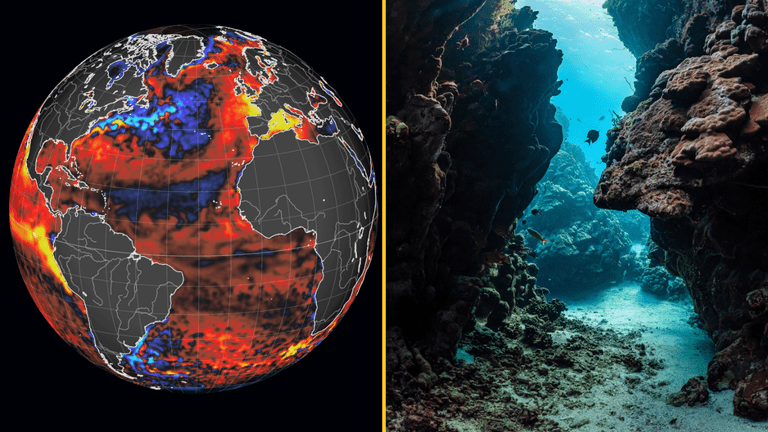 El Niño has officially arrived and it could bring unprecedented weather El Niño has officially arrived and it could bring unprecedented weather