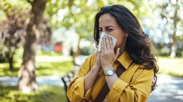 Cheap hacks to help hay fever sufferers as Met Office issue ‘not great news’ warning Cheap hacks to help hay fever sufferers as Met Office issue ‘not great news’ warning