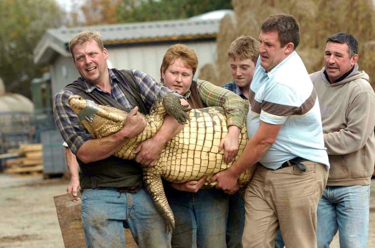 Mother father and son jumped into crocodile pit to save boy, new details reveal Mother father and son jumped into crocodile pit to save boy, new details reveal