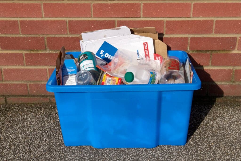 New recycling rules for England: The everyday items tripping households up