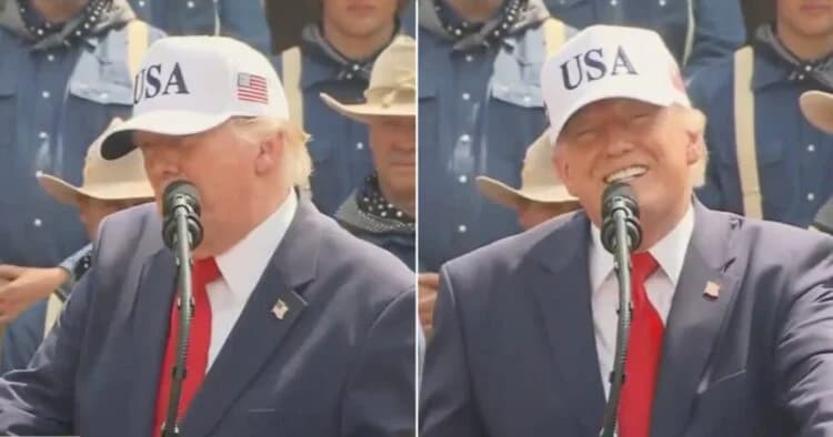 Trump publicly declares he wants a threesome with his sons Trump publicly declares he wants a threesome with his sons