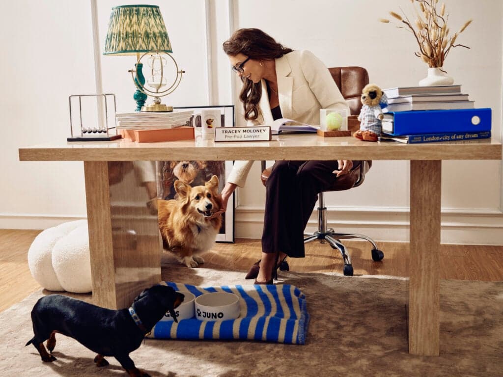 British couples urged to consider getting a ‘pre-pup’ to decide who keeps the pet after a break-up