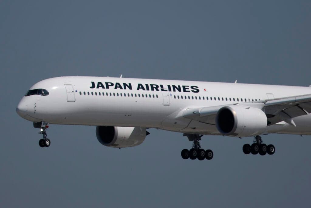 Flight cancelled after snake found on plane in first of its kind incident
