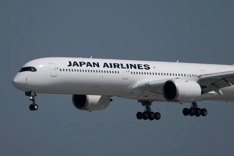 Flight cancelled after snake found on plane in first of its kind incident Flight cancelled after snake found on plane in first of its kind incident