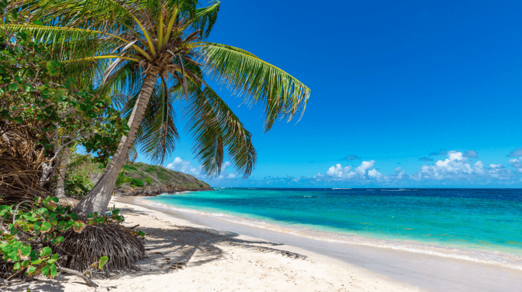You could go on holiday to the Bahamas with this £89 Wowcher offer