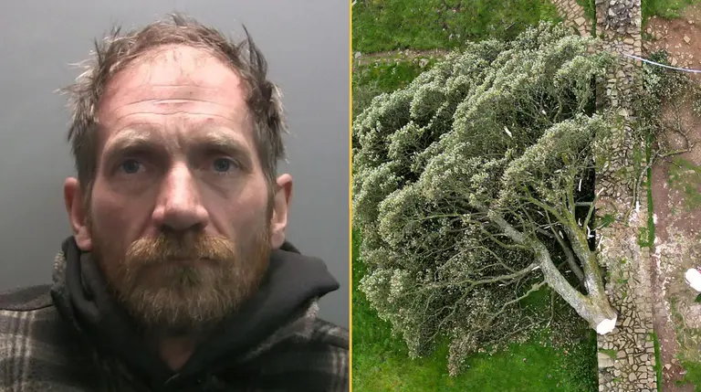Sycamore Gap: second man released from prison Sycamore Gap: second man released from prison