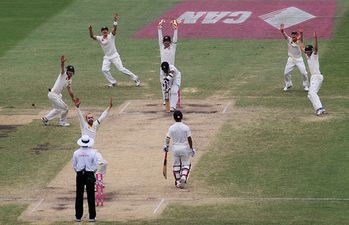 India Test match halted by this unusual pitch invader (video)