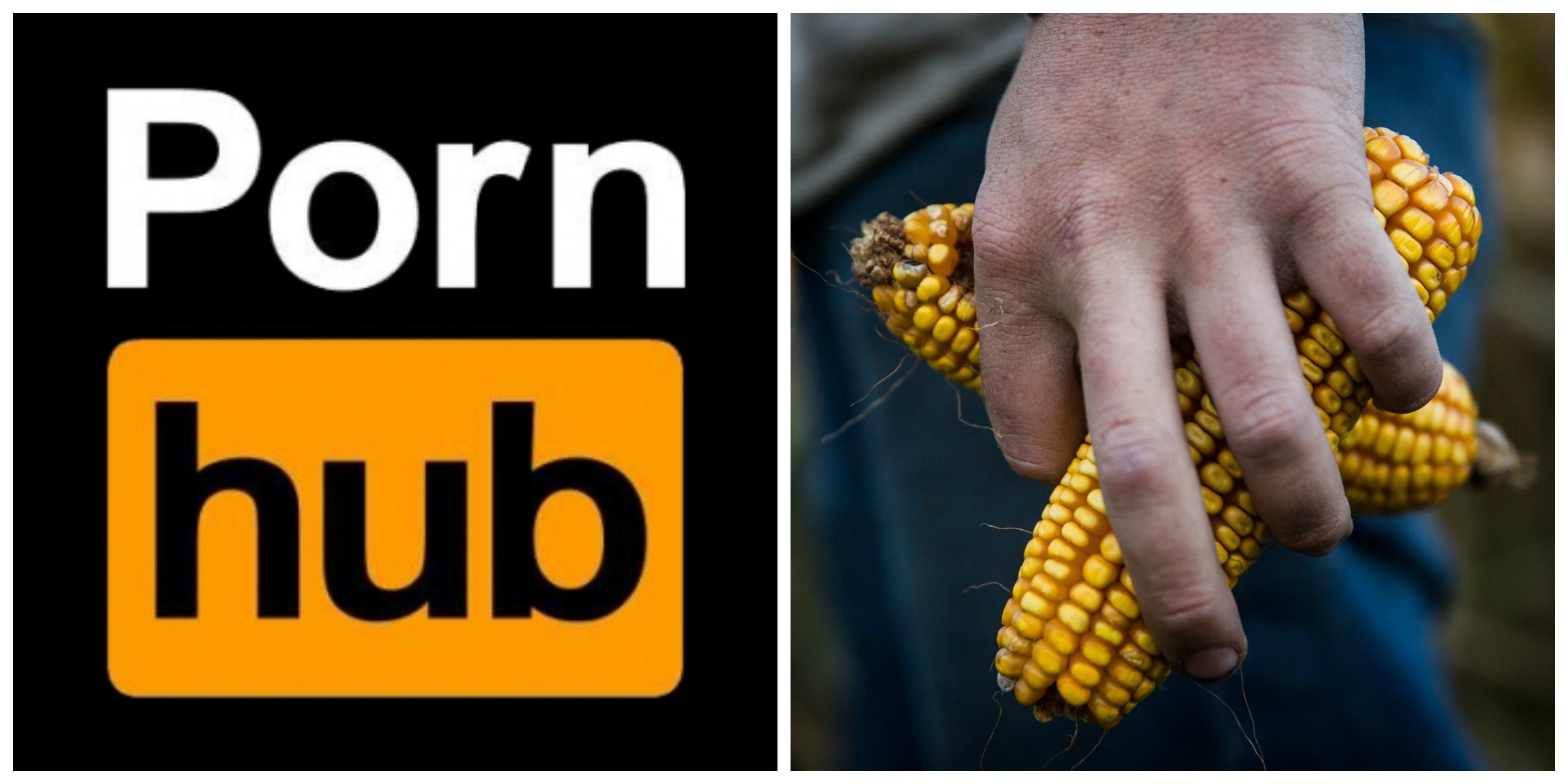 Pornhub's brilliant April Fools prank is very corny JOE.co.uk